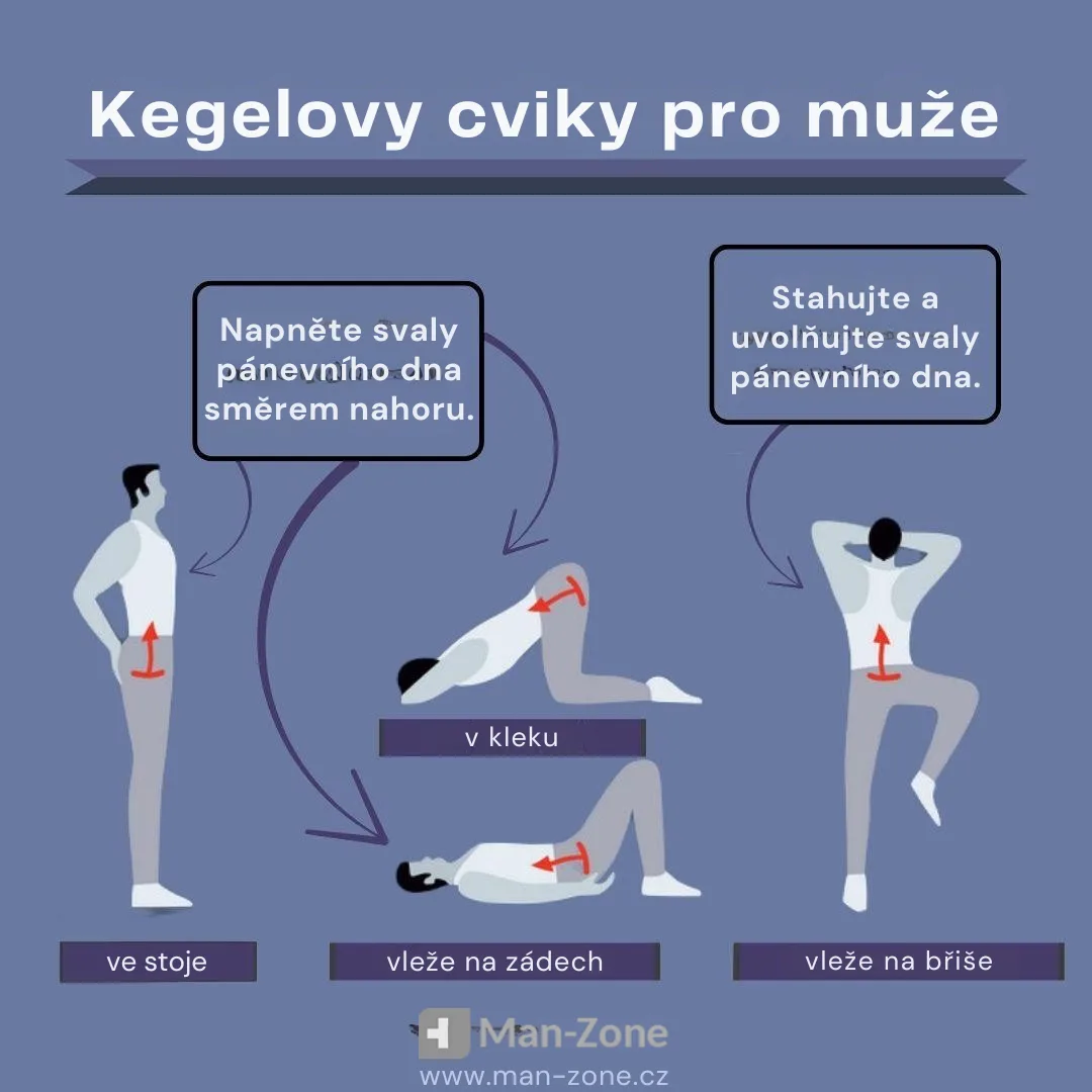 infografika-kegelovy-cviky-pro-muže-ve-stoje-v-kleku-vleže-na-zádech-vleže-na-břiše-kontrola-nad-předčasnou-ejakulací-zdravější-prostata-prevence-inkontinence